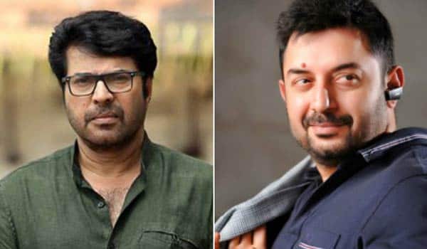 Aravindswamy---Mammootty-to-teamup-third-time