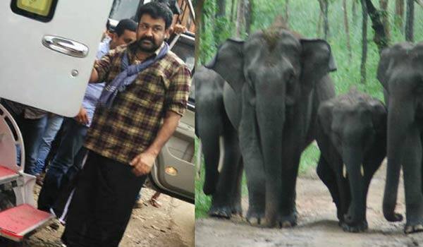 wild-elephant-made-the-crew-of-puli-murugan-to-stop-the-shooting