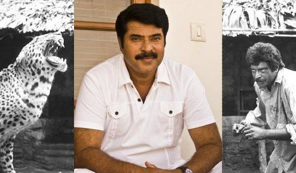 Is-Mammootty-fight-with-leopard-really