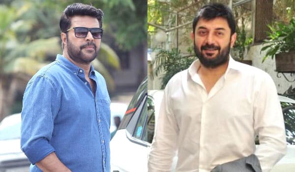 Aravindswamy-to-team-up-with-Mammootty-after-21-years