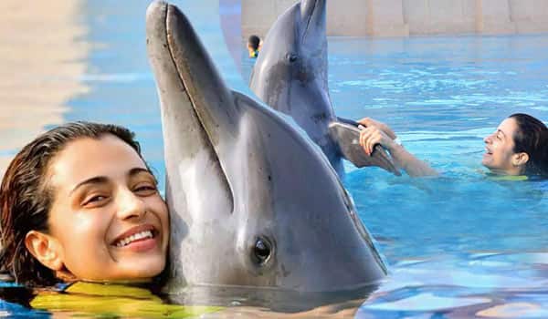 Oppose-for-Trisha-for-torturing-Dolphin