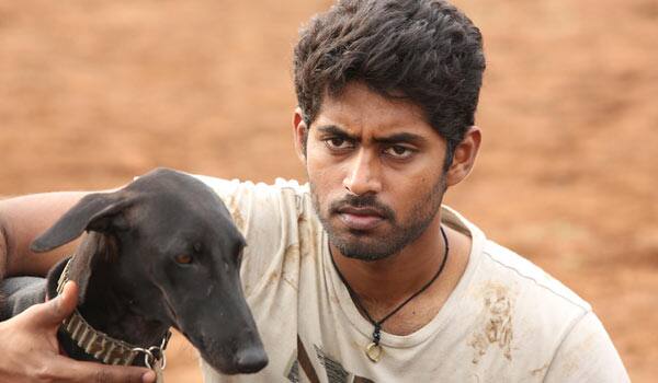 I-will-search-good-story-says-Kathir