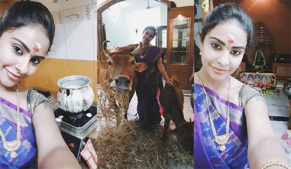 Srireddy-shifted-her-house-to-Chennai
