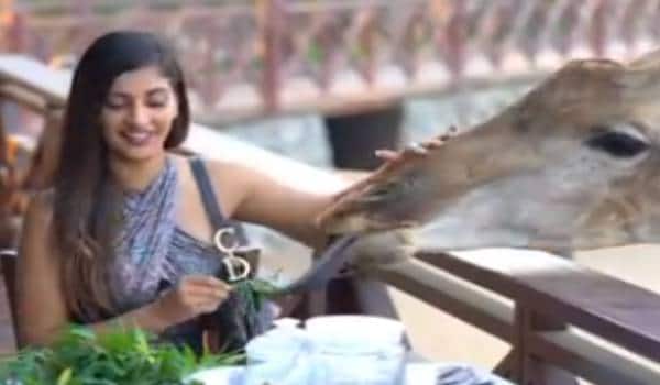 yashika-anand-video-with-camel-goes-viral