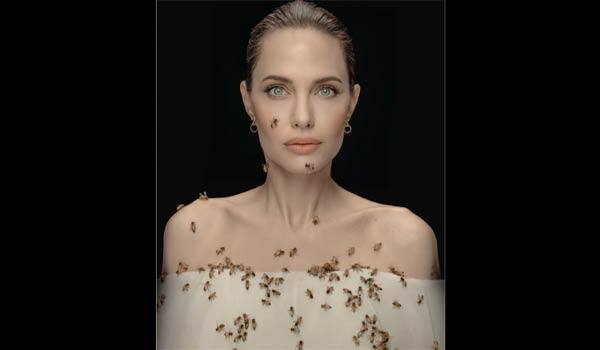 Angelina-jolie-photoshoot-with-Honey-Bee