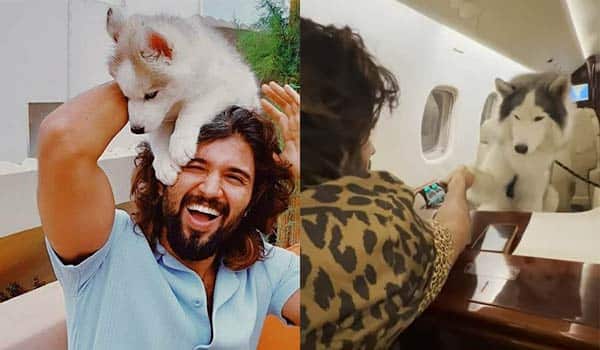 Vijay-devarakonda-traveling-on-a-plane-with-his-pet-dog