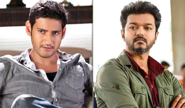 Sources-says-Maheshbabu-acting-guest-role-in-Vijay