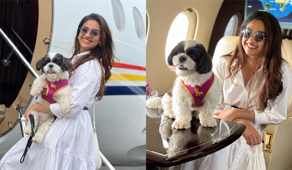 Keerthi-Suresh-takes-her-pet-on-a-plane