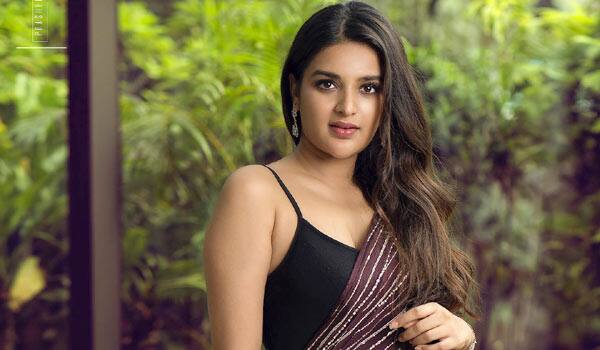 Nidhhi-agerwal-replied-how-she-faces-Controversy