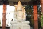 ஆஞ்சநேயர் கோயில் கும்பாபிஷேகம் - நீண்டநாள் கனவு நிறைவேறியது : அர்ஜூன்