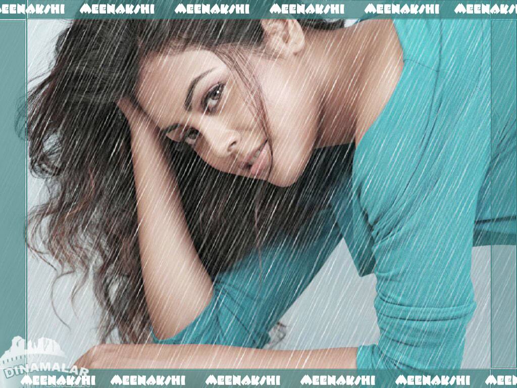 Tamil Actress Wall paper Meenakchi