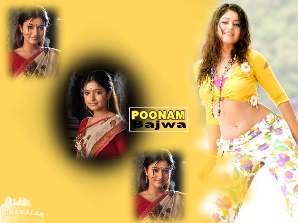 Tamil Actress Wall paper Poonam Bajwa
