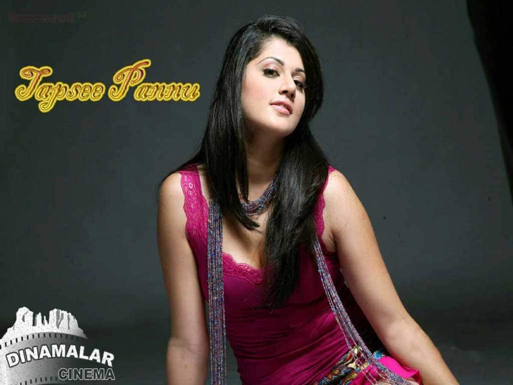 Tamil Actress Wall paper Tapsee pannu