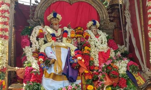 ராமேஸ்வரத்தில் சுவாமி, அம்மன் உலா : கோயில் நடை சாத்தல்