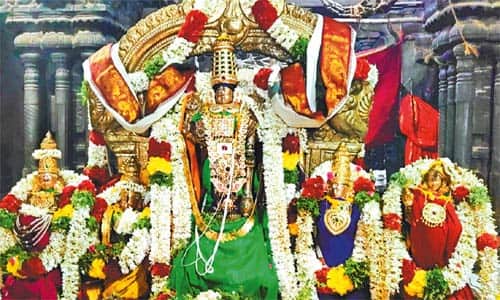 தாடிக்கொம்பு சவுந்தராஜப்பெருமாள் கோயிலில் திருக்கல்யாணம்