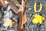 உத்தரகோசமங்கை ஆருத்ரா தரிசனம்: குவிந்த பக்தர்கள்