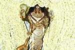 காரைக்கால் மாங்கனி திருவிழா: பிஷாடணமூர்த்தி வெள்ளை சாத்தி புறப்பாடு