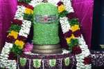 சனிப்பிரதோஷம் : சிவன் கோயில்களில் சிறப்பு பூஜை