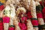 திருவனந்தபுரத்துக்கு இன்று நவராத்திரி பவனி: சுசீந்திரத்தில் இருந்து முன்னுதித்த நங்கை புறப்பாடு