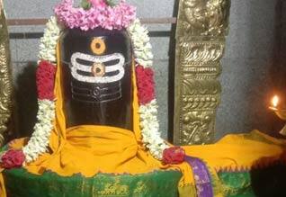 வைகாசி சோமவார பூஜை; ஆதி கும்பேஸ்வரருக்கு சிறப்பு அபிஷேகம் | Dinamalar
