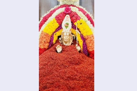 Over 4.5 kgs of Kumkumapoo sent by devotees was offered to MahaPeriyava  Spl Archannai was performed with this Safforn at Sri MahaPeriyava Manimandapam NJ USA.
